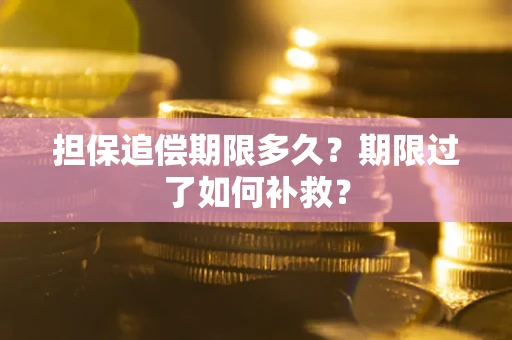 济南担保追偿期限多久？期限过了如何补救？
