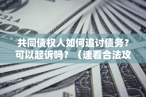 济南共同债权人如何追讨债务？可以起诉吗？（速看合法攻略）